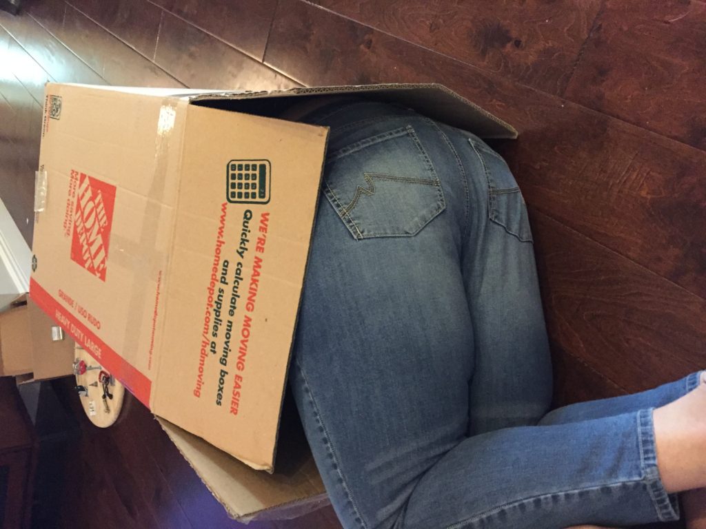 erin in box